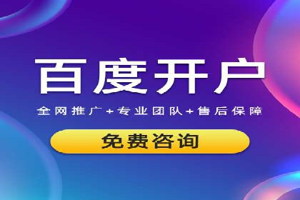 某公司SEM代理策略：实现流量转化